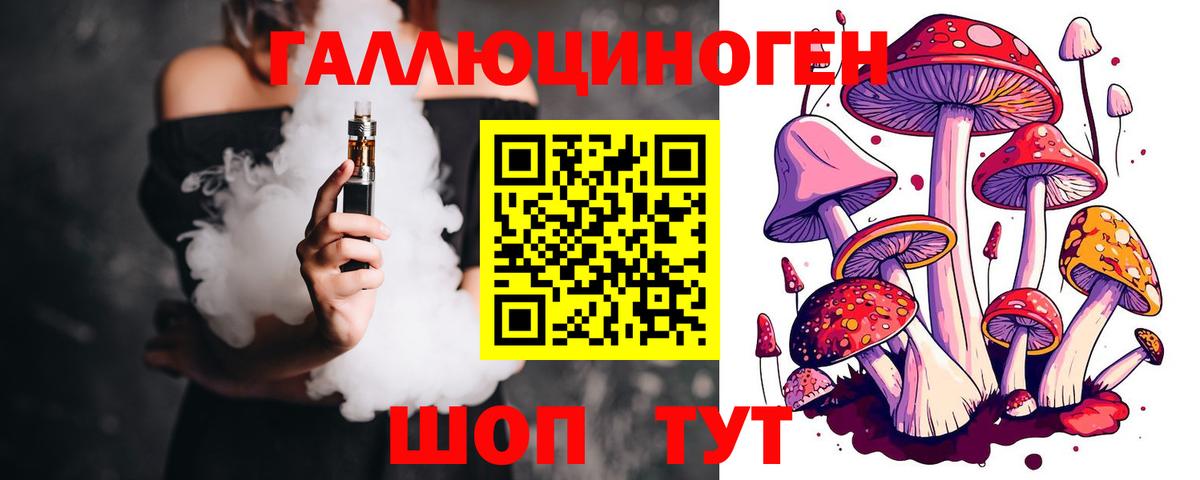 Псилоцибиновые грибы Cubensis Урай